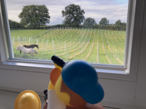 Ankunft in Groß&nbsp;Wittensee