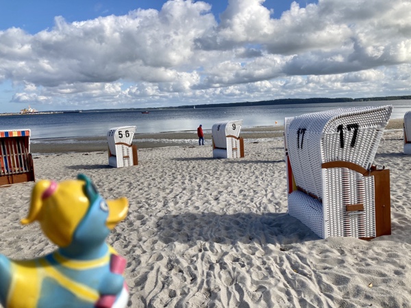 Von geretteten Eichhörnchen, zickigen Krabben und einem Quadratmeter&nbsp;Blau