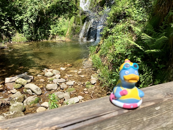 Allerheiligen im Mai?