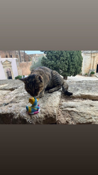 Kreta und der&nbsp;Tierschutz