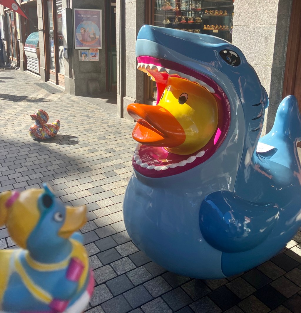 Duckenhagen: Stadt der&nbsp;&nbsp;Enten