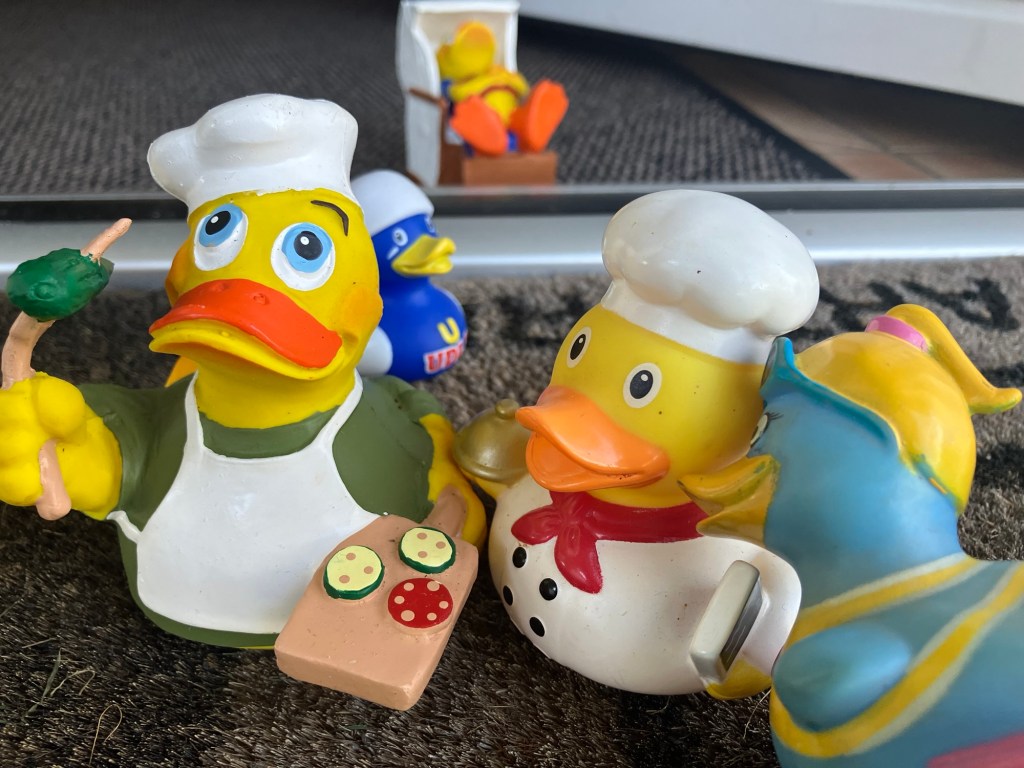 Susi is coming&nbsp;home