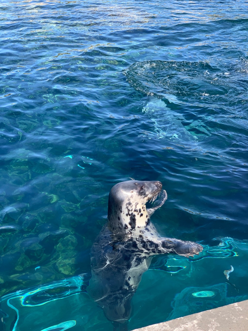 Nordjütland – Meer, Mythen &&nbsp;Monströses