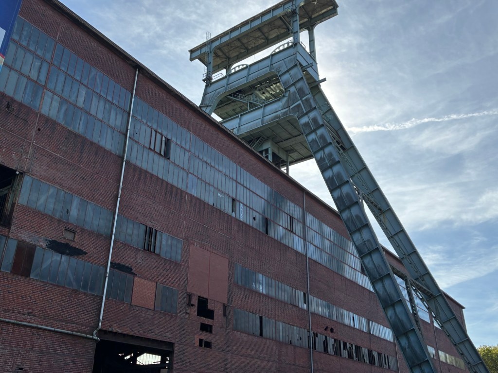 Von der Schwebebahn bis zur Schildkrötensuppe: NRW im&nbsp;Selbstversuch